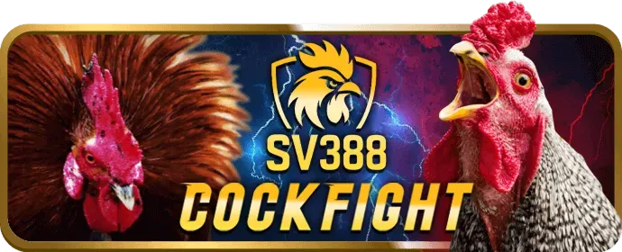 Chương trình VIP vn123